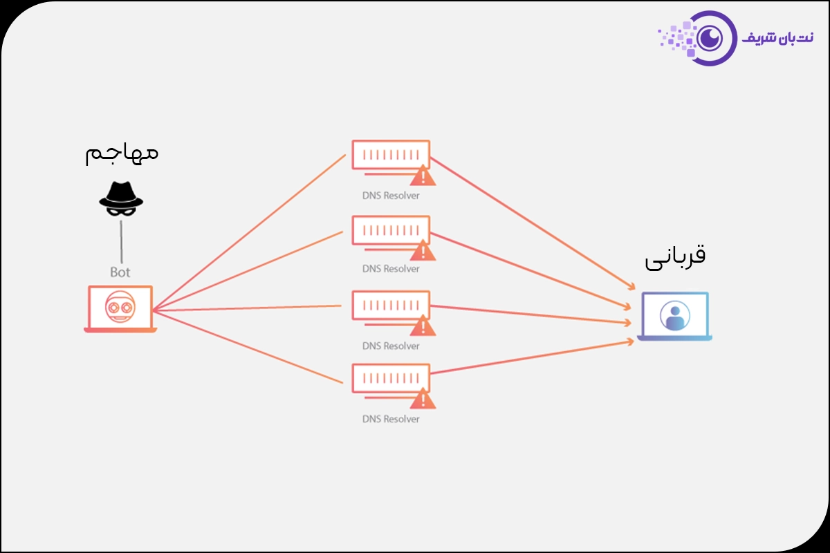 حملات تقویتی در داس و دیداس - حملات تقویتی در DoS و DDoS